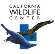 California Wildlife Center